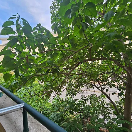 Elena 340 Varna